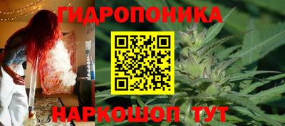 ГАЛЛЮЦИНОГЕННЫЕ ГРИБЫ Владимир