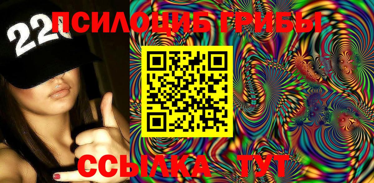 Галлюциногенные грибы Psilocybe Ангарск