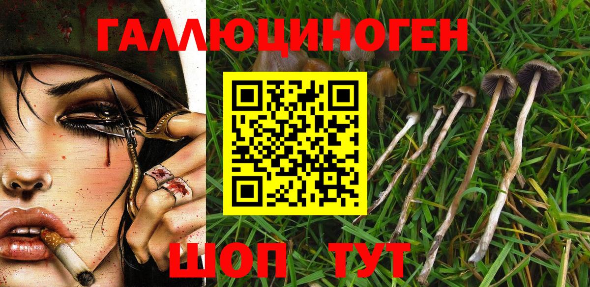 Ангарск  Галлюциногенные грибы Psilocybe  Галлюциногенные грибы MAGIC MUSHROOMS  Вход с VPN 